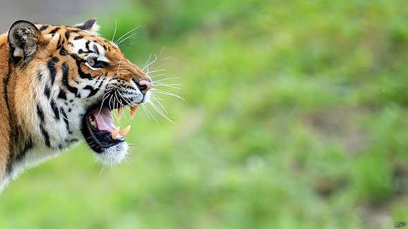 Muchos -científicos y público en general- están convencidos de que debe usarse un nuevo término para reflejar el impacto del hombre en la Tierra, como por ejemplo la pérdida de la biodiversidad. Muchos -científicos y público en general- están convencidos de que debe usarse un nuevo término para reflejar el impacto del hombre en la Tierra, como por ejemplo la pérdida de la biodiversidad.