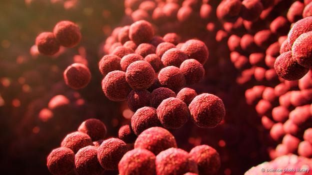 Las bacterias viven en nuestros pies y son las responsables del hedor. Las bacterias viven en nuestros pies y son las responsables del hedor.