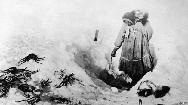 Los inuits habían disfrutado de la Los inuits habían disfrutado de la