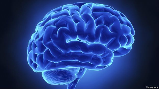La herida activa los receptores de dolor del cerebro, llamados nociceptores. La herida activa los receptores de dolor del cerebro, llamados nociceptores.