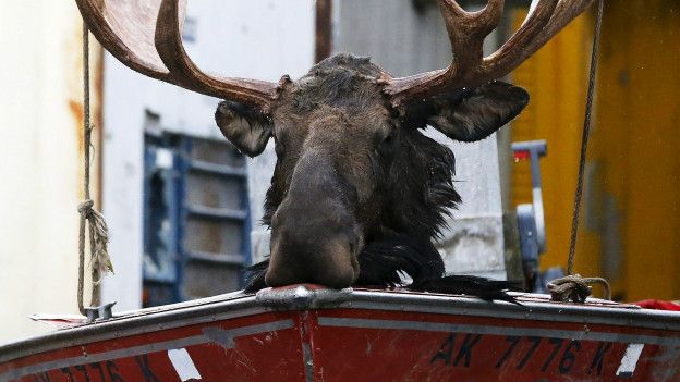 Gran parte de Alaska está despoblada. Gran parte de Alaska está despoblada.