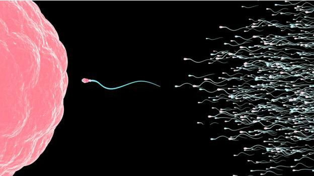 Los hombres sí pueden ser padres de un número enorme de hijos.