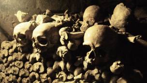 La peste negra es considerada la pandemia más devastadora de la historia. La peste negra es considerada la pandemia más devastadora de la historia.