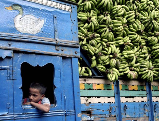 Otro factor relacionado con los bananos que podría causar cierta confusión es la radiación. Otro factor relacionado con los bananos que podría causar cierta confusión es la radiación.