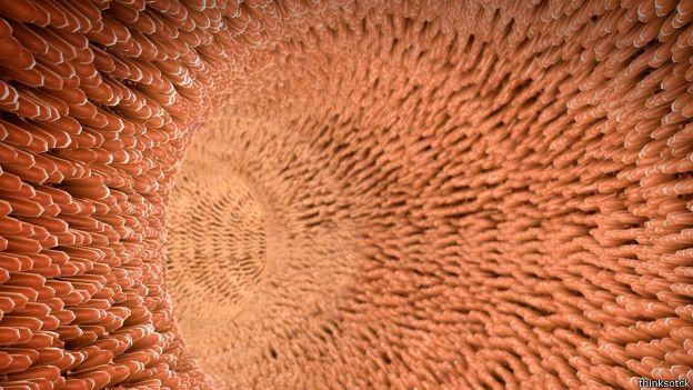 Los alimentos ricos en fibra ayudan a la digestión, aunque hay que agregarlos a la dieta de forma gradual. Los alimentos ricos en fibra ayudan a la digestión, aunque hay que agregarlos a la dieta de forma gradual.