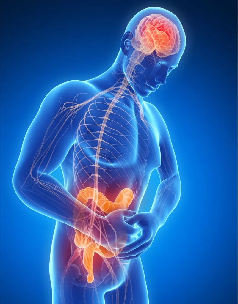 Los autores sostienen que la alteración de la microbiota intestinal puede modificar nuestra conducta y se ha asociado a trastornos como el autismo, la depresión o la ansiedad. Los autores sostienen que la alteración de la microbiota intestinal puede modificar nuestra conducta y se ha asociado a trastornos como el autismo, la depresión o la ansiedad.