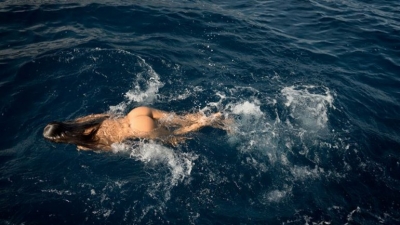 Fotos: Alessandra Ambrosio posó desnuda para la revista Maxim