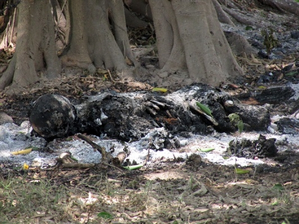 Se dieron tiempo de preparar la fogata para quemar a la persona que fue hallada calcinada en la brecha de “La Báscula” en Las Palmas, Vallarta