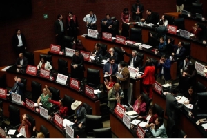 Sesión del Senado el 30 de octubre de 2024.