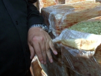 La PGR asegura droga en Aeropuerto de Guadalajara