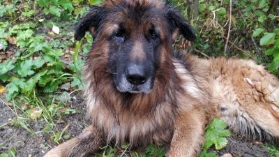 Una foto de Kiriusha, compartida en sus redes sociales por la fundación de caridad rusa Dobry Górod.