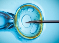 Este experimento, que ya se ha realizado en China, abre las puertas para tratar enfermedades congénitas.