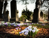 Cementerio, sinónimo de paz eterna.