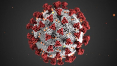 El coronavirus COVID-19 resultó ser un virus artificial