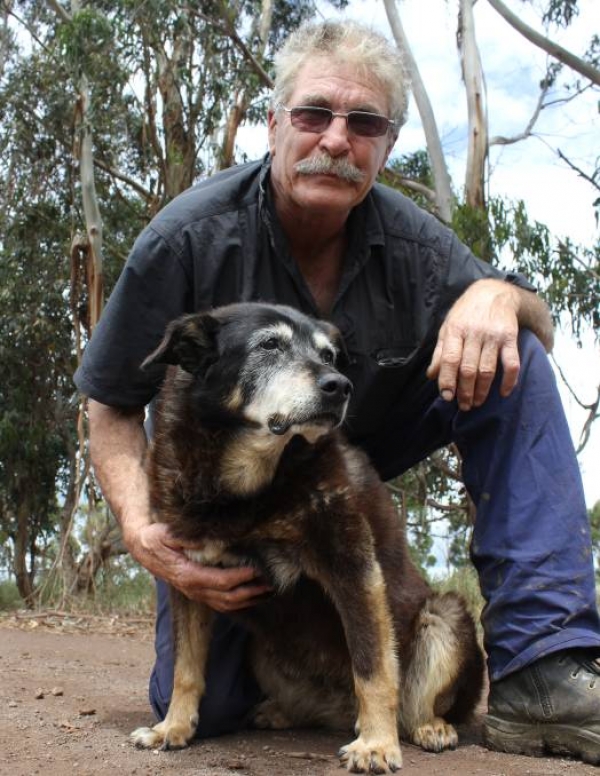 Muere el perro más viejo del mundo a los 30 años