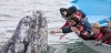 El político del PRD tiene ya su propio santuario de ballena gris. Foto: Zeta especial para SinEmbargo.