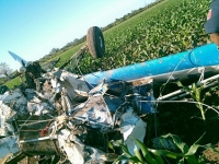 Avioneta golpea cables de alta tensión y se desploma por la zona conocida como el Paso del Guayabo, entre Puerto Vallarta y Bahía de Banderas; hay dos lesionados