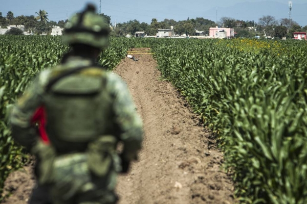 Un militar resguarda la escena de un crimen en Navolato, Sinaloa