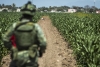 Un militar resguarda la escena de un crimen en Navolato, Sinaloa
