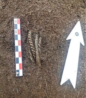 La oscura historia detrás de un tesoro vikingo, intacto después de 1.000 años
