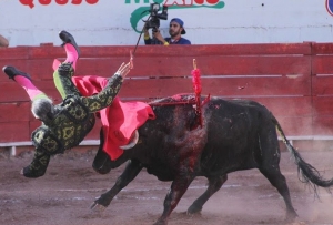 La tragedia vino apenas iniciando la lidia del tercero de la tarde, Rodolfo Rodríguez, el astado &quot;Pan Francés&quot; de 480 kilos, al ir en pleno trote.