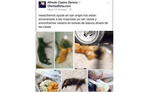 Hombre de Hermosillo se adjudica muerte de 64 mascotas