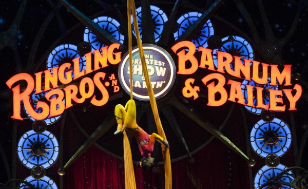 Acróbata del circo, en función de marzo pasado.