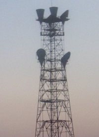 La estación de radio del &quot;juicio final&quot; UVB-76 transmitió 24 mensajes misteriosos