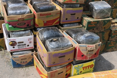 Aseguran más de cinco toneladas de marihuana en una casa de Jardines del Zapote en Tlajomulco