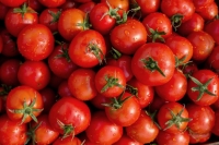 EE.UU. impone un arancel del 17,5% al tomate mexicano