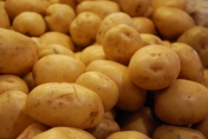 Una corte mexicana prohibió la importación de papas de EEUU
