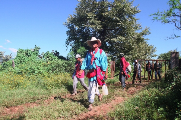 Indígenas de la comunidad wixarika descienden de la cordillera Pajaritos para retomar las tierras en el predio de 184 hectáreas recién entregado por el tribunal agrario.
