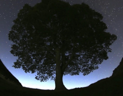 Una vista general de las estrellas sobre Sycamore Gap antes de la lluvia de meteoros de las Perseidas sobre el Muro de Adriano cerca de Bardon Mill, Inglaterra, el miércoles 12 de agosto de 2015.