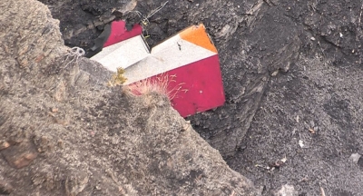 Fiscal de Marsella: El copiloto del A320 habría estrellado deliberadamente el avión