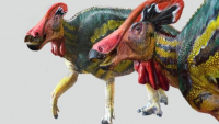 Recreación del vistoso Tlatolophus galorum