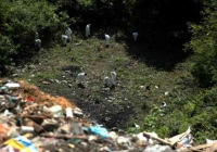 Peritos forenses, durante los trabajos en el basurero de Cocula, Guerrero. Foto Jesús Villaseca