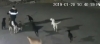 Una jauría de perros ataca y mata a una mujer en México
