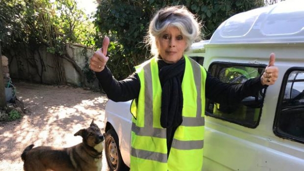 Brigitte Bardot posa con un chaleco amarillo, símbolo de las últimas protestas contra Emmanuel Macron
