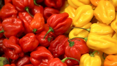 Detienen al &#039;rey del chile habanero&#039; que impulsaba una criptomoneda para comprar marihuana en México