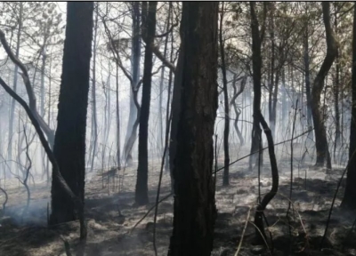 Vinculan a proceso a presunto responsable de incendio forestal en Tapalpa