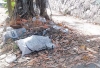 Sobre la banqueta, afuera del predio donde yacía la FEG, es común ver basura.