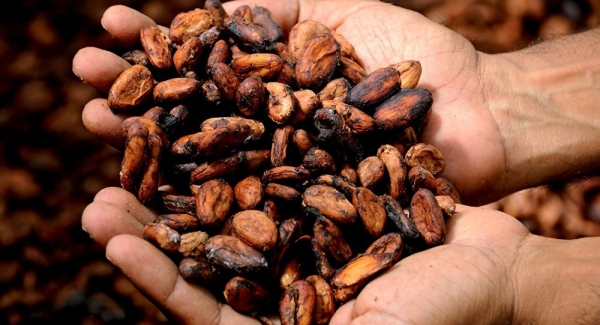 Nestlé reconoce que explota a niños de África