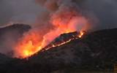 El 50% de las hectáreas afectadas forman parte del Área Natural Protegida del Bosque de la Primavera.