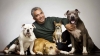 Investigan a César Millán, &quot;el encantador de perros&quot;, por crueldad animal