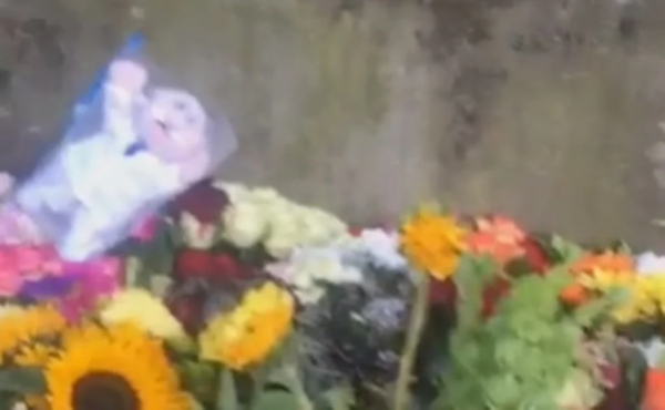 Dejan Dr. Simi de peluche en ofrenda a la Reina Isabel II y se hace viral