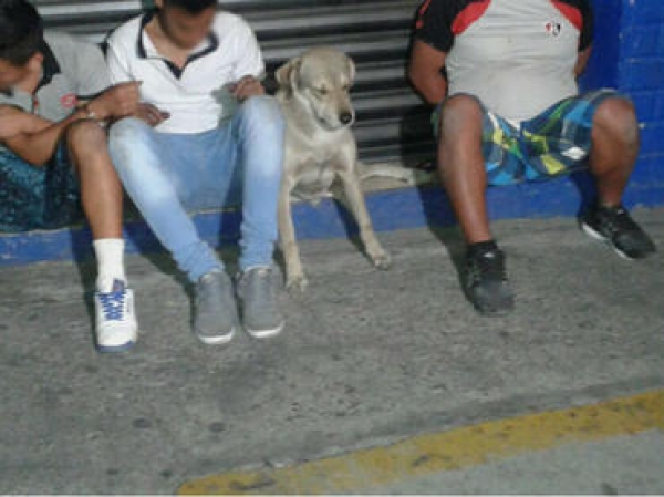 El Ministerio Público determinó que los sujetos quedaran en libertad tras pagar los daños ocasionados