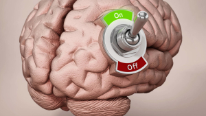 Descubren qué función tiene una misteriosa zona del cerebro