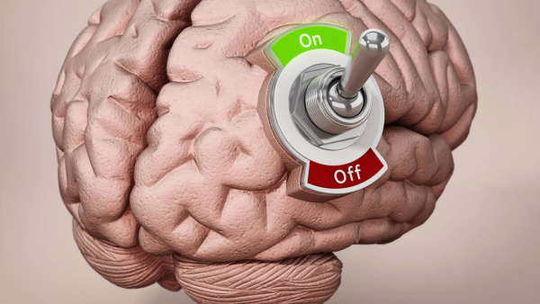 Descubren qué función tiene una misteriosa zona del cerebro