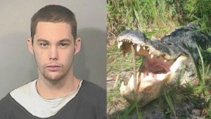 Matthew Riggins murió al ser devorado por un cocodrilo