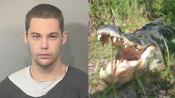 Matthew Riggins murió al ser devorado por un cocodrilo